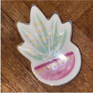 Cactus dish